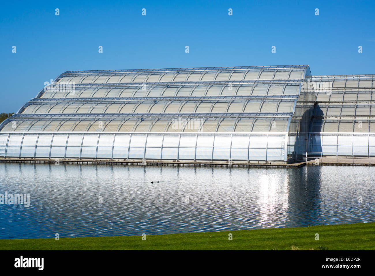 Serra, RHS Garden, Wisley, Surrey, England, Regno Unito Foto Stock