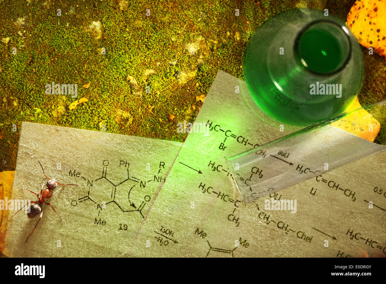 Chimica verde con formula di reazione su moss Foto Stock