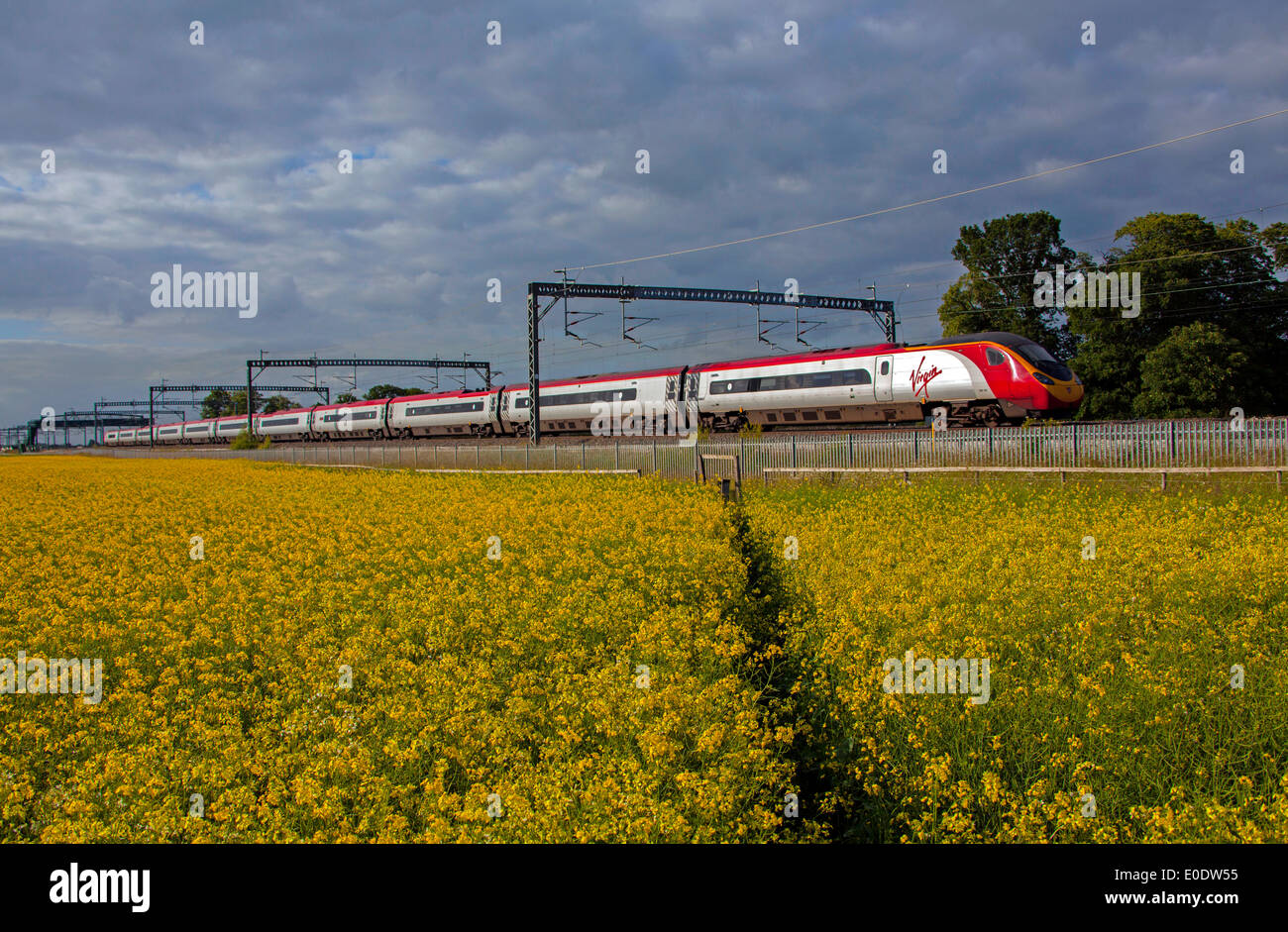 Treni del Virgin Pendolino classe 390 ad alta velocità treno passeggeri nella zona Tamworth-Lichfield della West Coast Mainline (WCML). Foto Stock