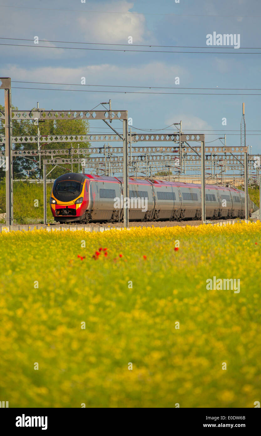 Treni del Virgin Pendolino classe 390 ad alta velocità treno passeggeri nella zona Tamworth-Lichfield della West Coast Mainline (WCML). Foto Stock