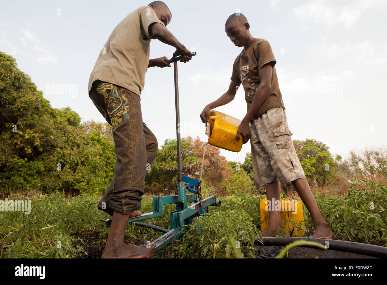 Pedale della pompa di irrigazione in uso nel distretto di Mongu, Zambia, Sud Africa. Foto Stock