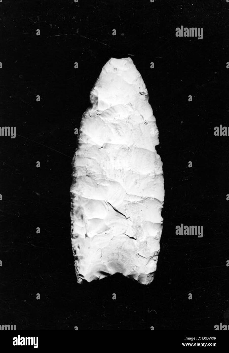 11.000 anni Spearpoint scanalati Foto Stock