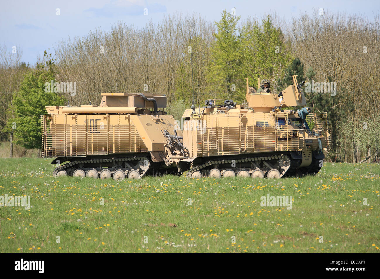 Esercito britannico Viking BVS10 protetto veicolo fuoristrada Foto Stock