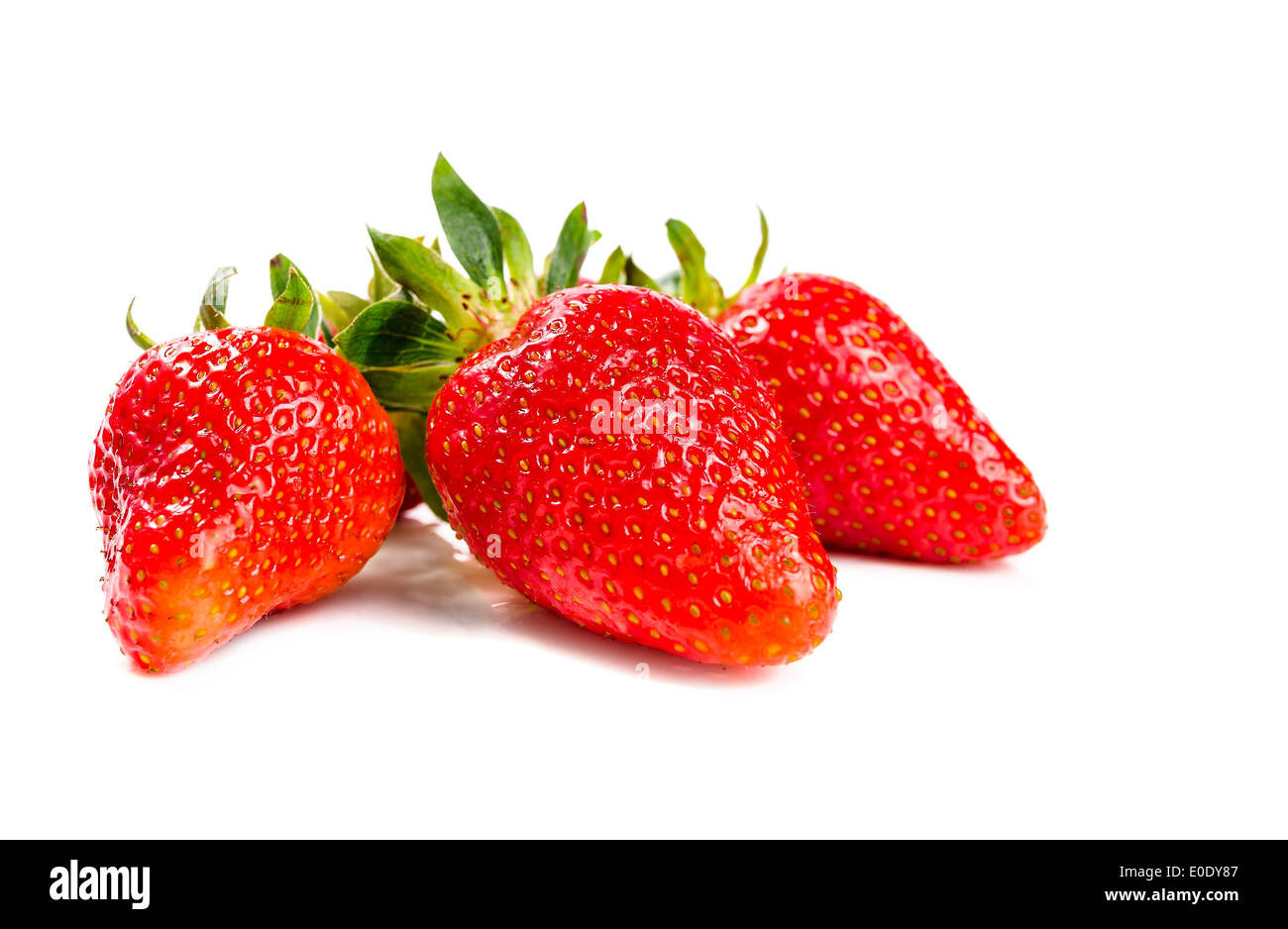 Fragole con foglie. Isolato su sfondo bianco Foto Stock