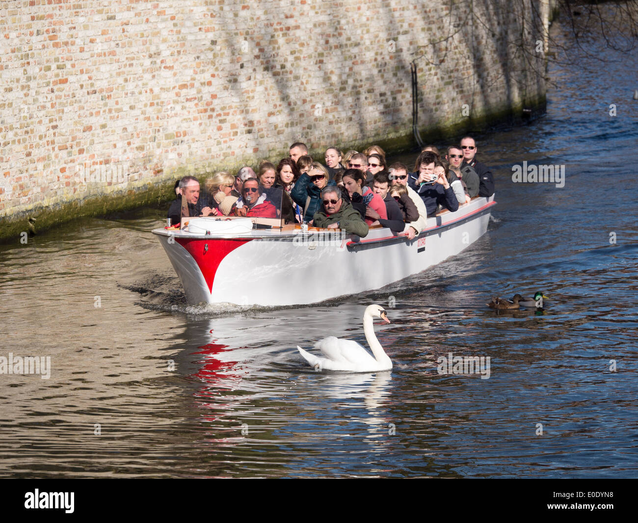 I turisti e i turisti in un giro in barca lungo i canali di Bruge, Belgio Foto Stock