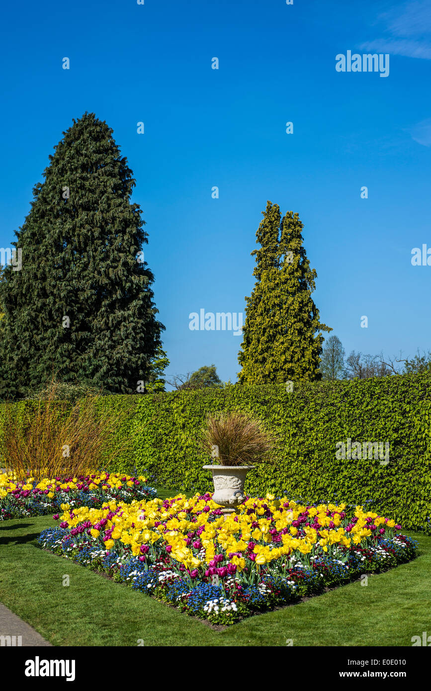 Aiuola di fiori in primavera, RHS Garden, Wisley, Surrey, Inghilterra Foto Stock