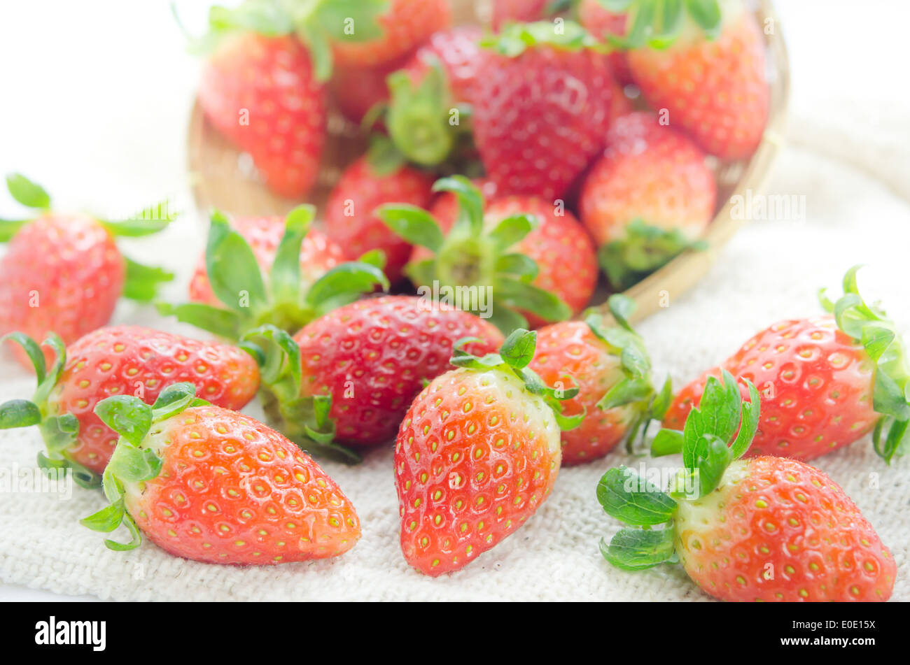 Close up rosso fresco Fragole oltre il cilicio , frutto maturo Foto Stock