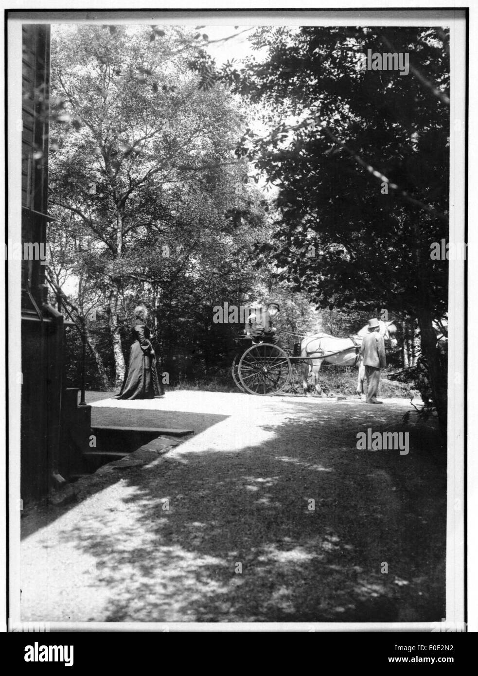 Una fotografia del compositore norvegese Edvard Grieg con un cavallo e una carrozza. L'immagine riflette un momento della vita del compositore, evidenziando il suo legame con la Norvegia del XIX secolo. Foto Stock