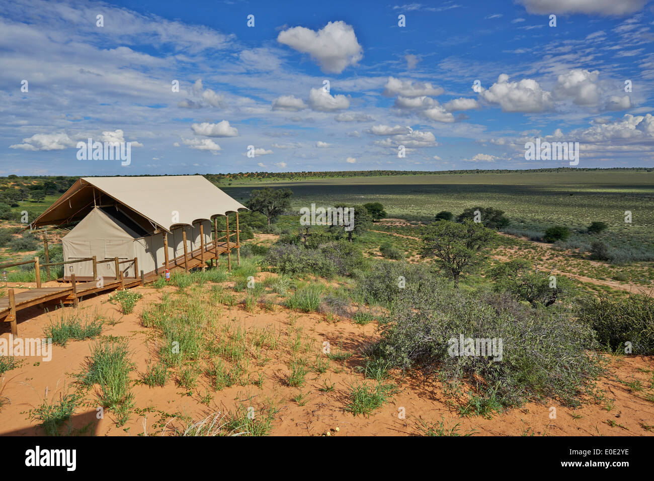 Vista dalla zona principale di Polentswa Tented Camp, Kgalagadi Parco transfrontaliero, il Kalahari, Sud Africa, Botswana, Africa Foto Stock