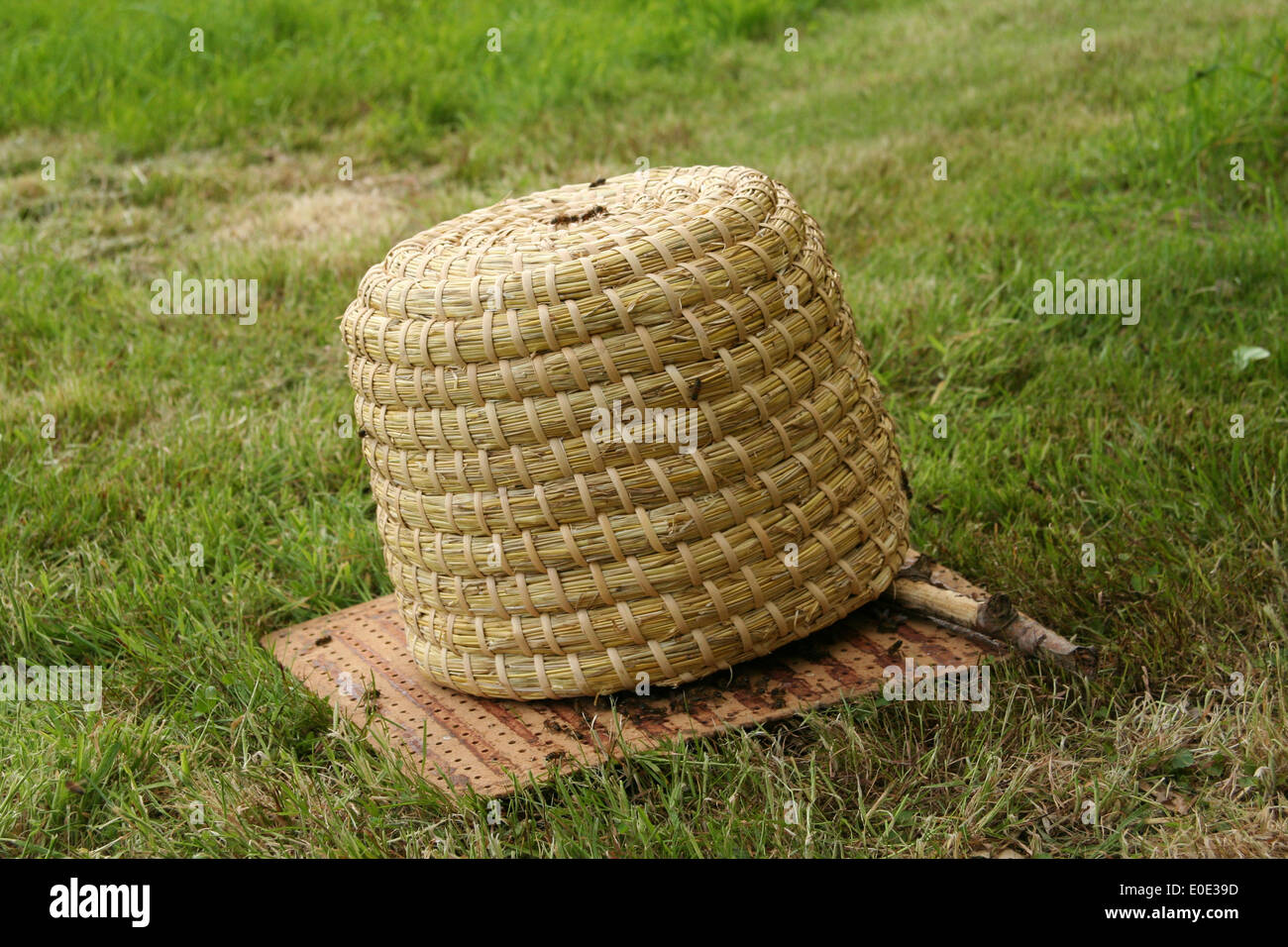 Il miele delle api sciame in un skep Foto Stock