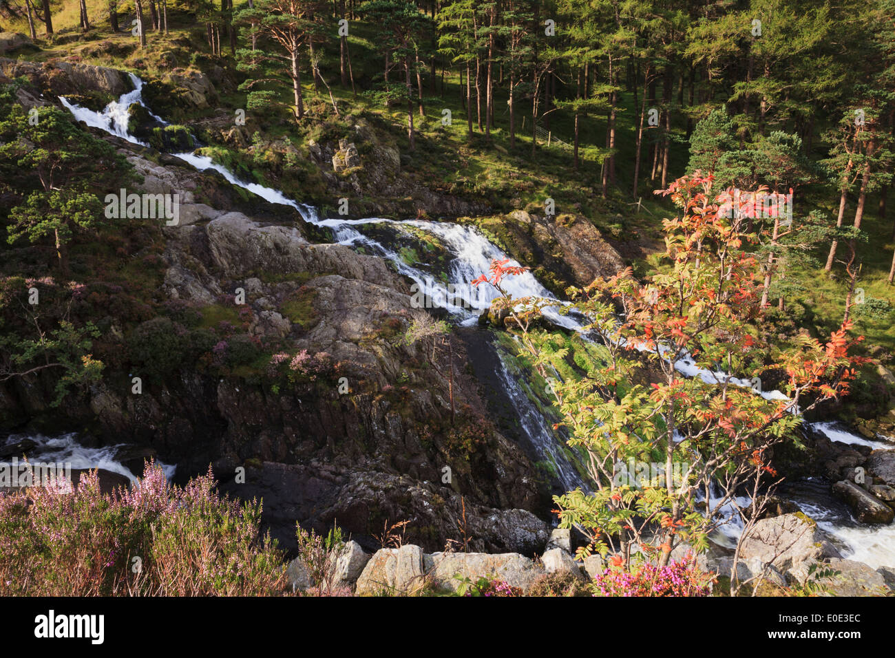 Afon Ogwen fiume e cascata nel Parco Nazionale di Snowdonia in tarda estate. Ogwen, Gwynedd, il Galles del Nord, Regno Unito, Gran Bretagna Foto Stock