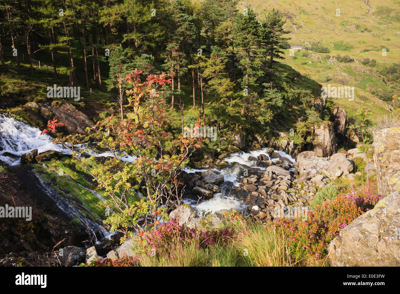 Visualizza in basso Afon Ogwen fiume e cascata nel Parco Nazionale di Snowdonia in tarda estate. Ogwen, Gwynedd, il Galles del Nord, Regno Unito, Gran Bretagna Foto Stock