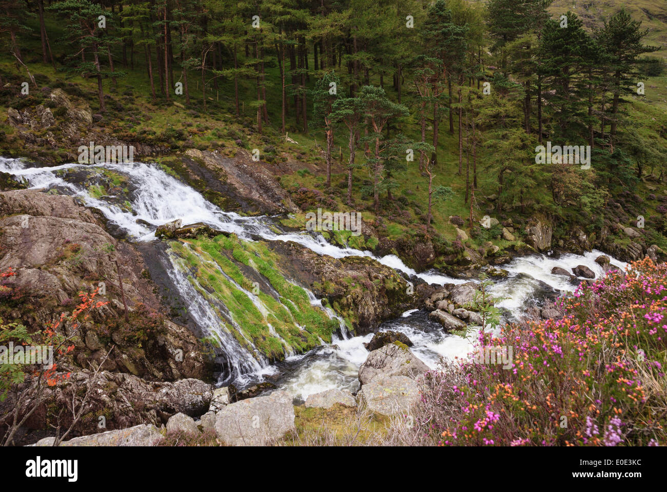 Afon Ogwen fiume e cascata nel Parco Nazionale di Snowdonia in tarda estate. Valle Ogwen, Gwynedd, il Galles del Nord, Regno Unito, Gran Bretagna Foto Stock