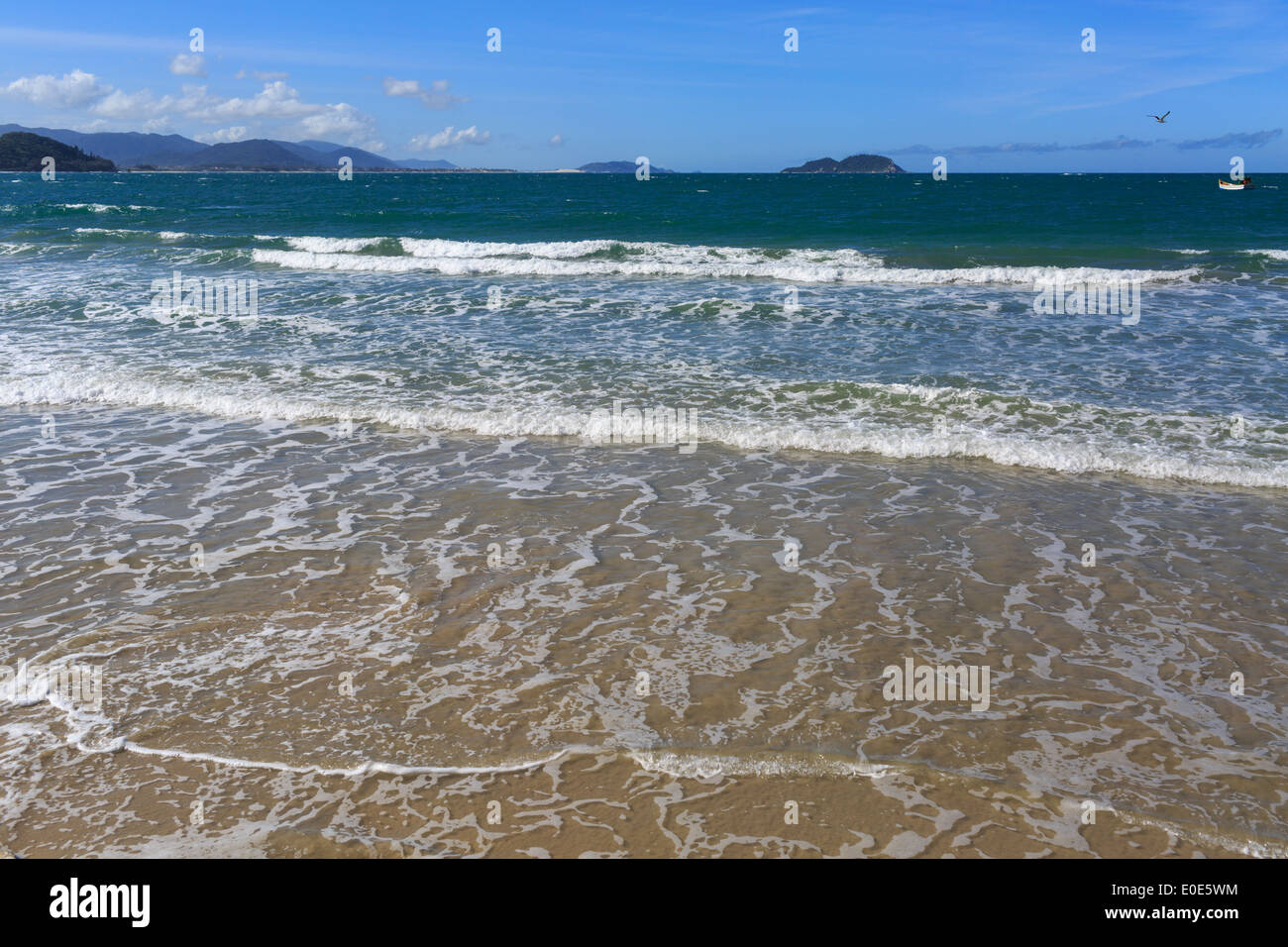 Atlantico foresta costiera spiaggia Bird barca Brasile Florianópolis Isola Moleques do Sul Praia dos Açores Santa Catarina Seagull Sout Foto Stock