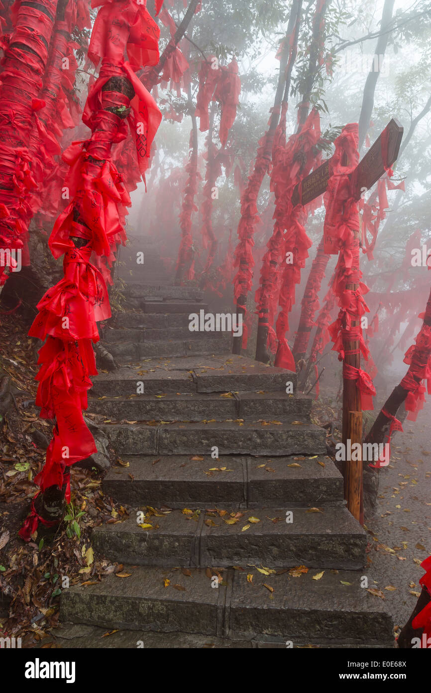 Cina Zhangjiajie Tianmen Mountain celeste vetro porta a piedi Foto Stock