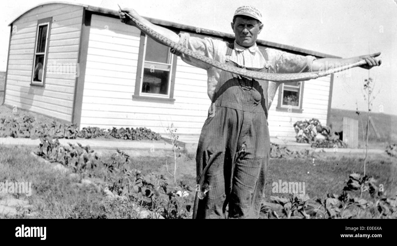 Una foto che mostra James Burness Sr. Che tiene un serpente a sonagli. L'immagine riflette un momento all'aperto, probabilmente legato all'agricoltura o all'interazione con la fauna selvatica, evidenziando la connessione di Burness con la natura e la vita all'aria aperta durante l'inizio del XX secolo. Foto Stock