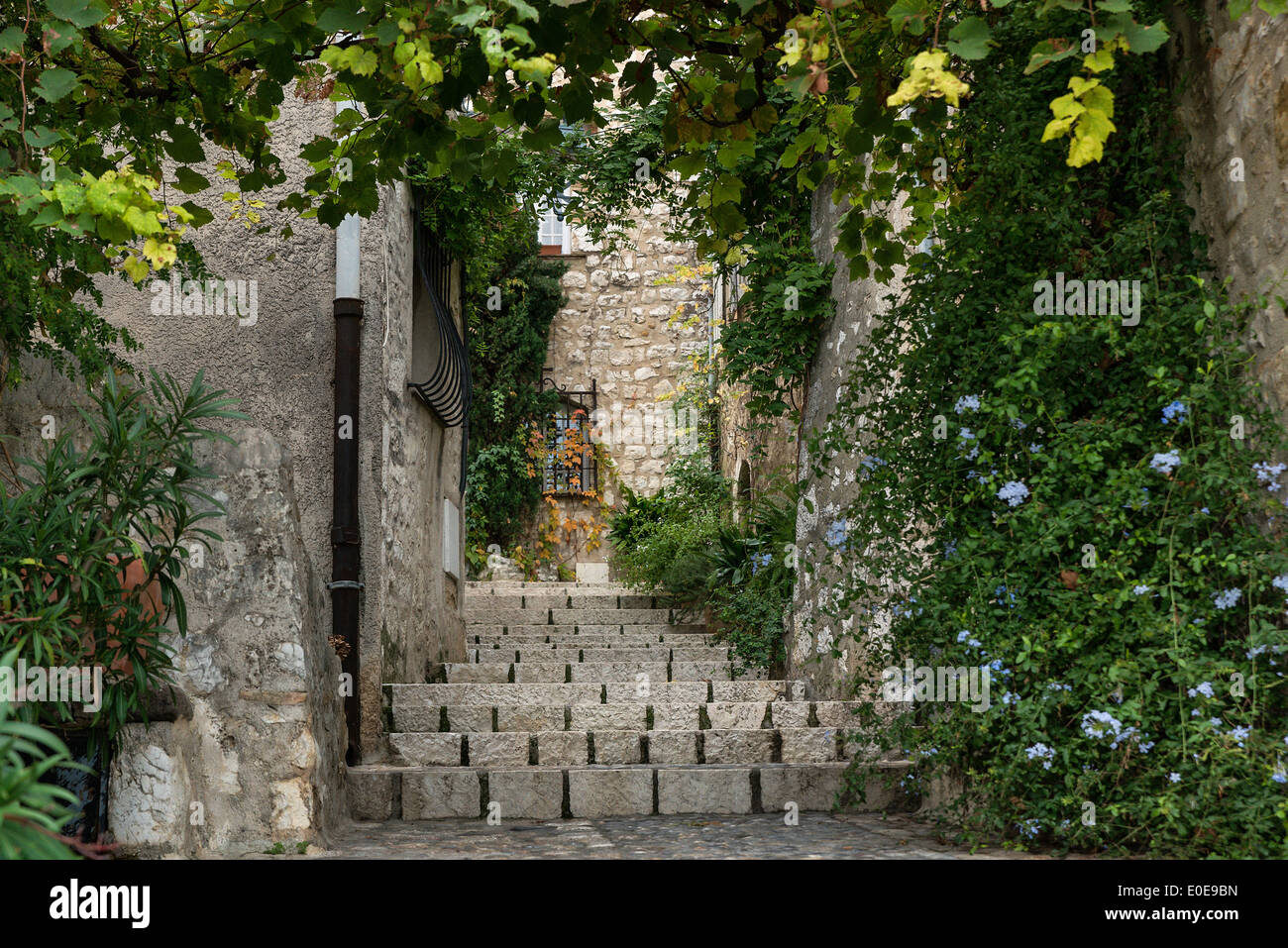 Rustico in pietra le fasi e le piante nel villaggio medievale di St Paul de Vance, Provenza, Francia Foto Stock