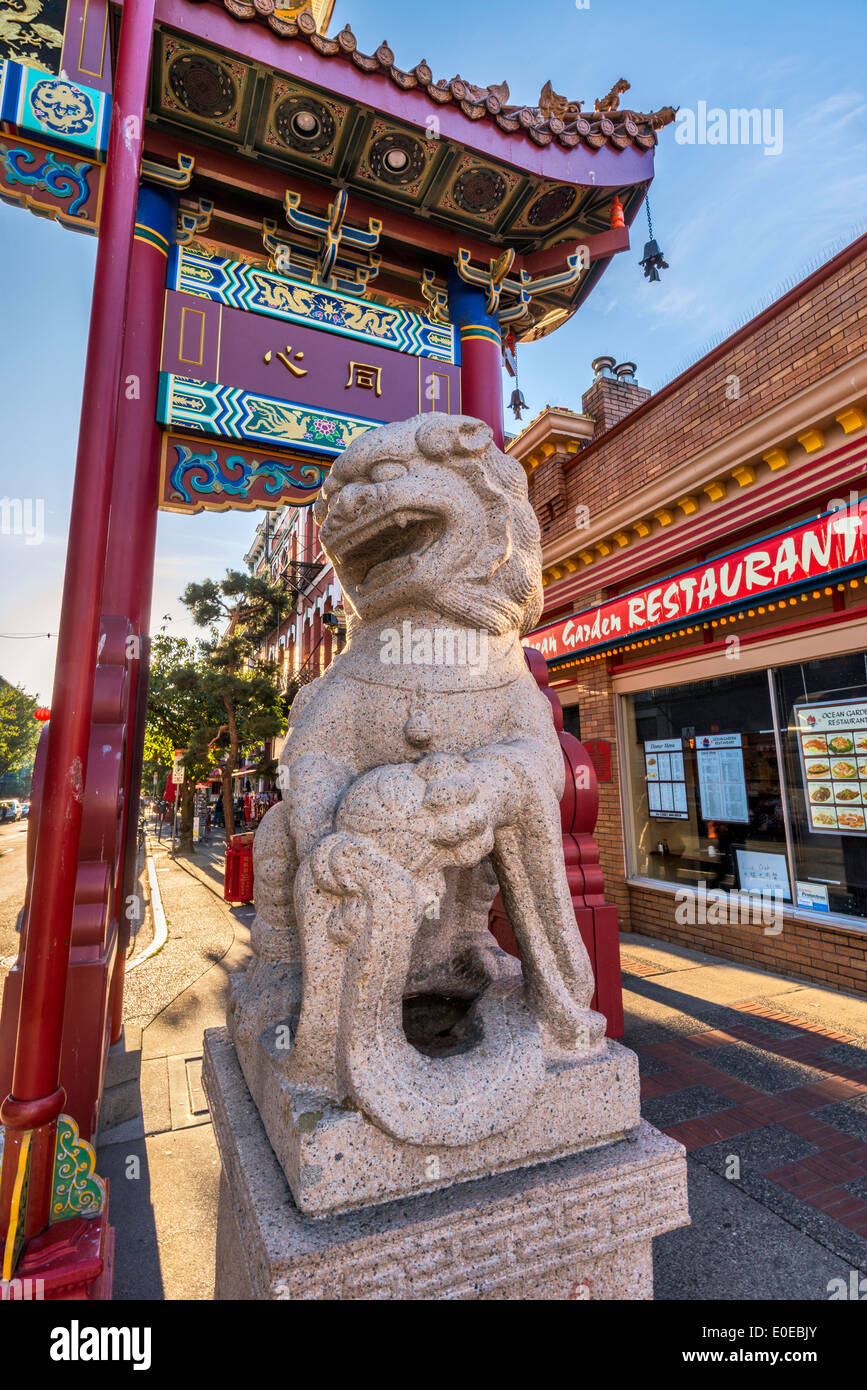 Uno dei leoni di pietra a guardia della porta a Chinatown in Victoria, Isola di Vancouver, British Columbia, Canada Foto Stock