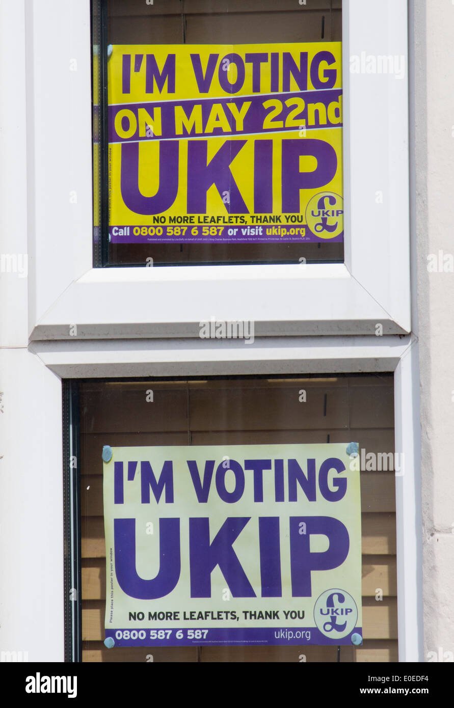 Il UKIP UK Independence Party manifesti elettorali nella finestra di house Cardiff Wales UK Foto Stock