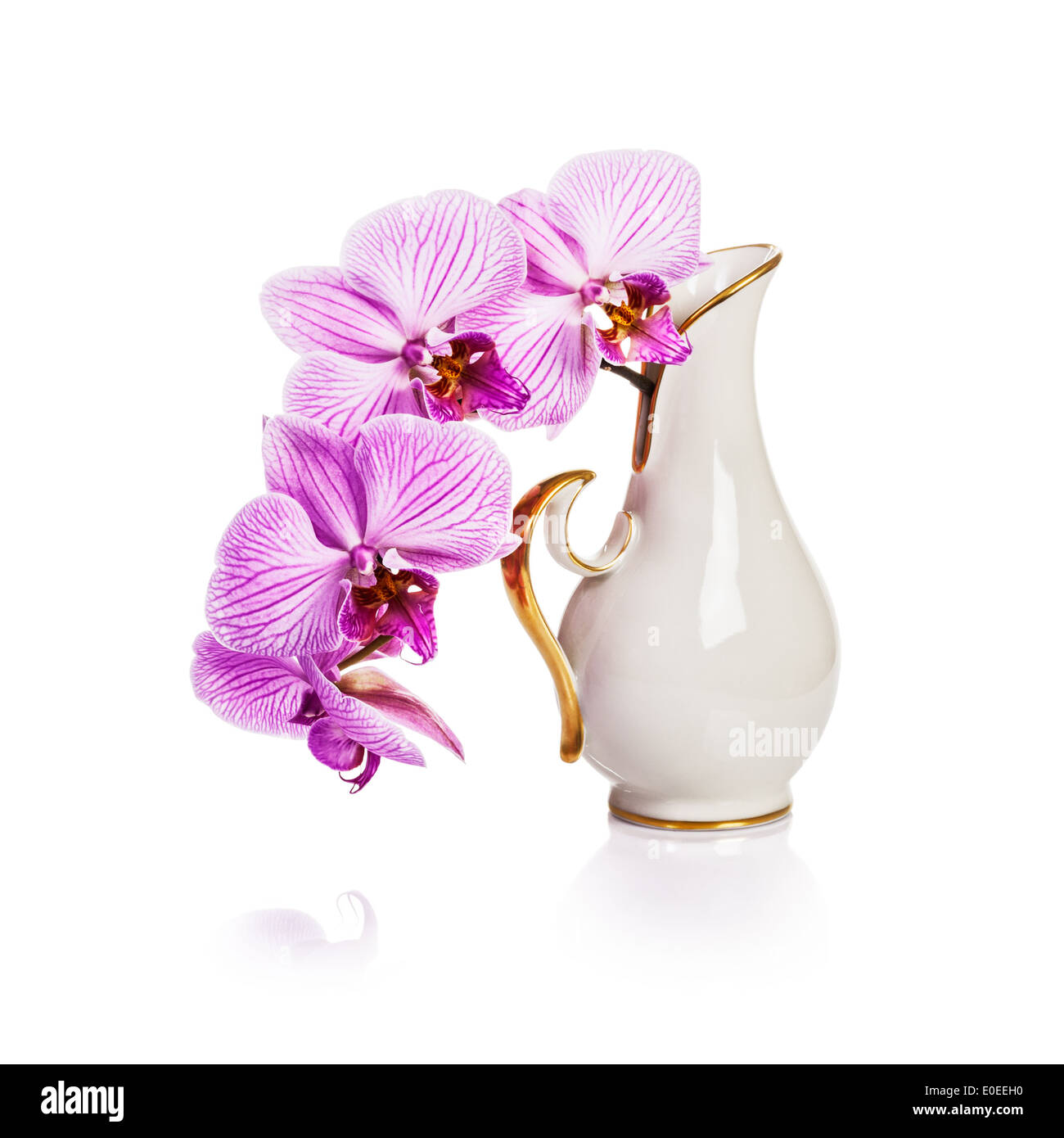 Antichi porcellana bianca Vaso con fiori di orchidea colori rosa su sfondo bianco percorso di clipping incluso Foto Stock