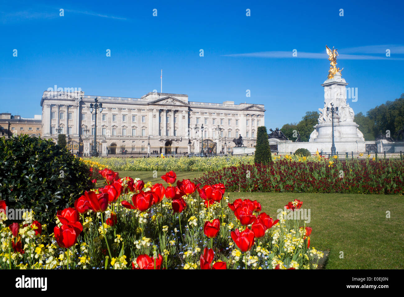 Buckingham Palace si trova a molla con tulipani e fiori in primo piano il Victoria Memorial a destra del telaio Londra Inghilterra REGNO UNITO Foto Stock