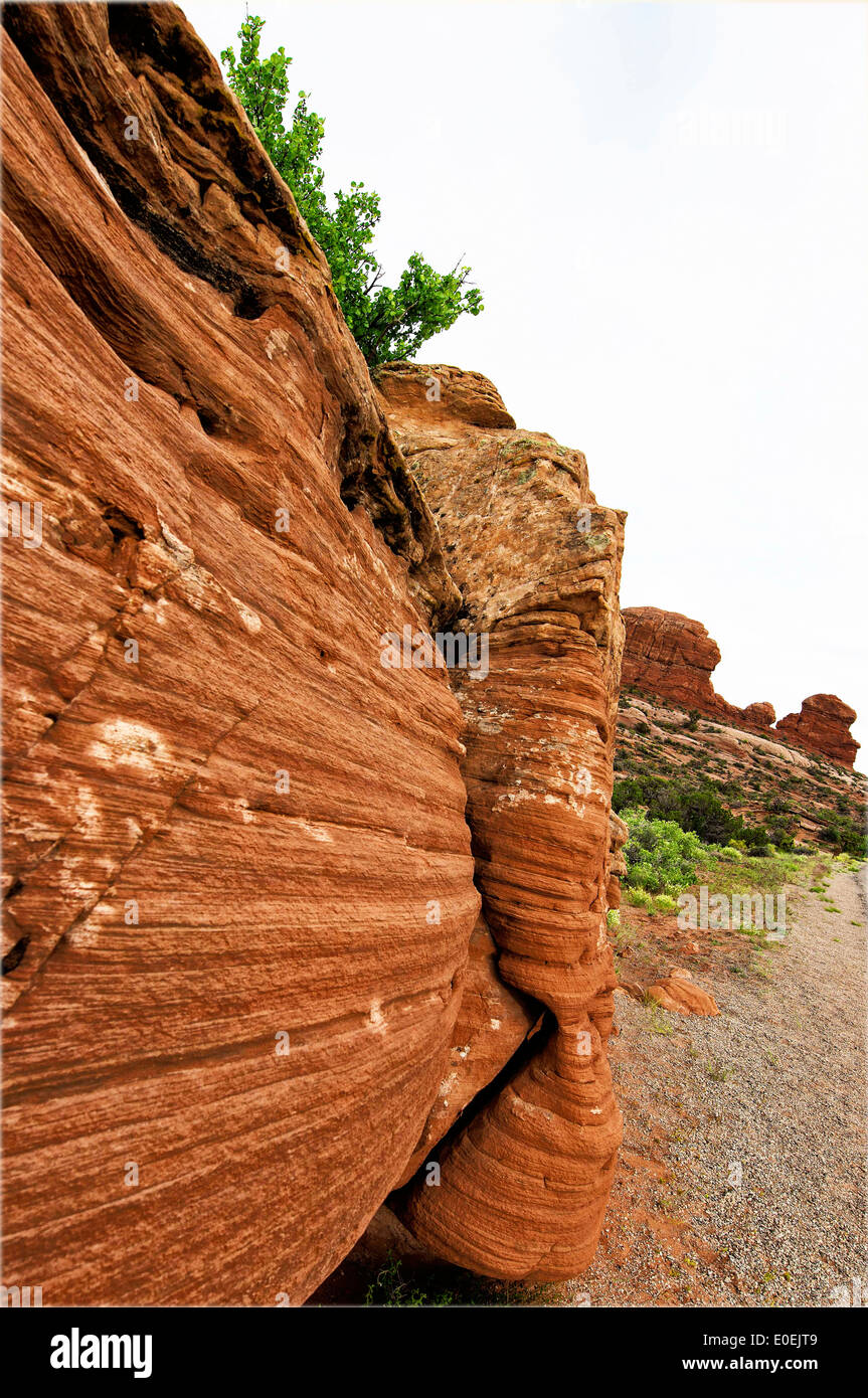 Arches National Park è un U.S. Parco Nazionale in Eastern Utah Foto Stock