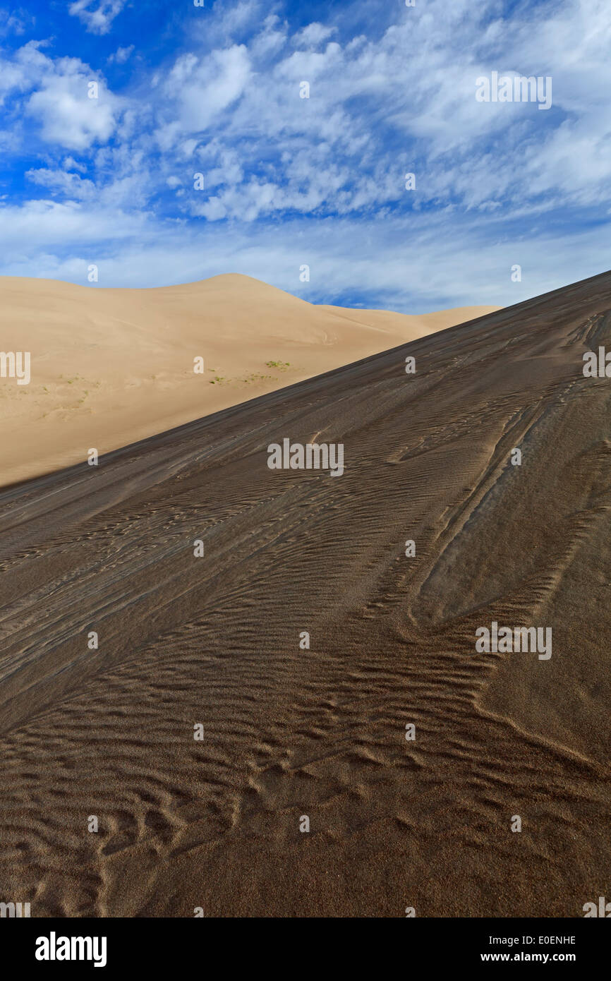Le dune e le ondulazioni, Grande dune sabbiose del Parco Nazionale e preservare, Colorado, STATI UNITI D'AMERICA Foto Stock