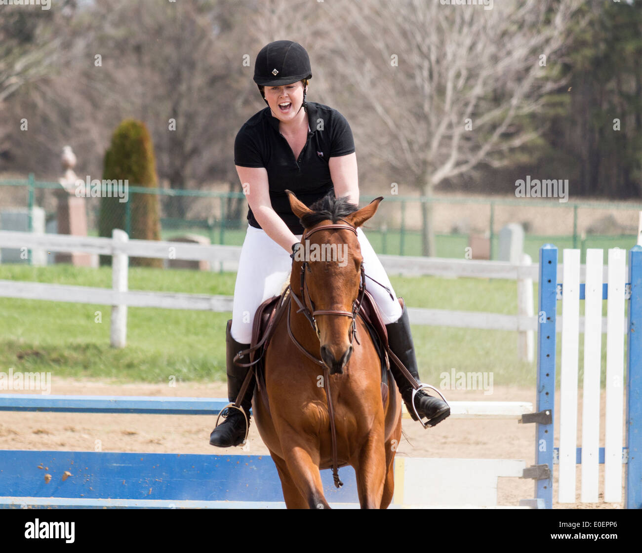 Equitazione donna bay cavallo su salto a scuola locale horse show. Foto Stock