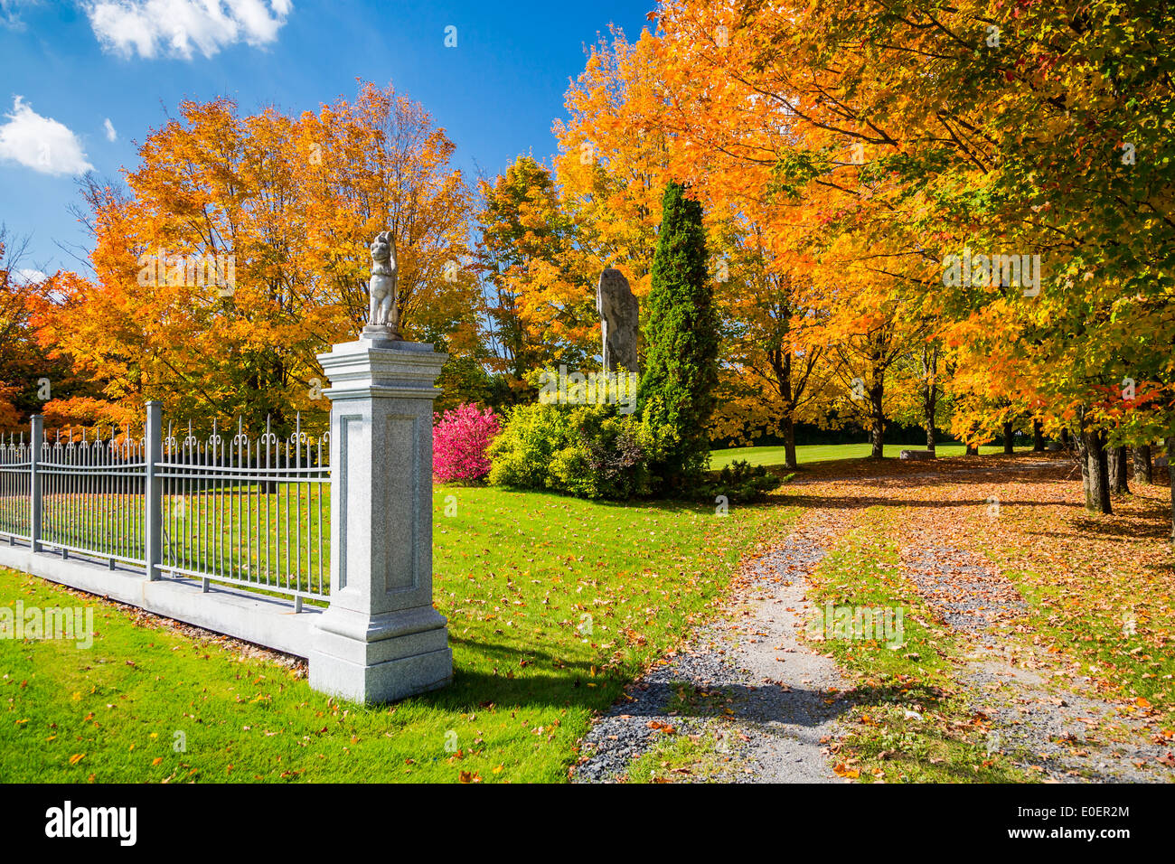 Brillante caduta delle foglie colore in Eastern Townships del Québec in Canada. Foto Stock