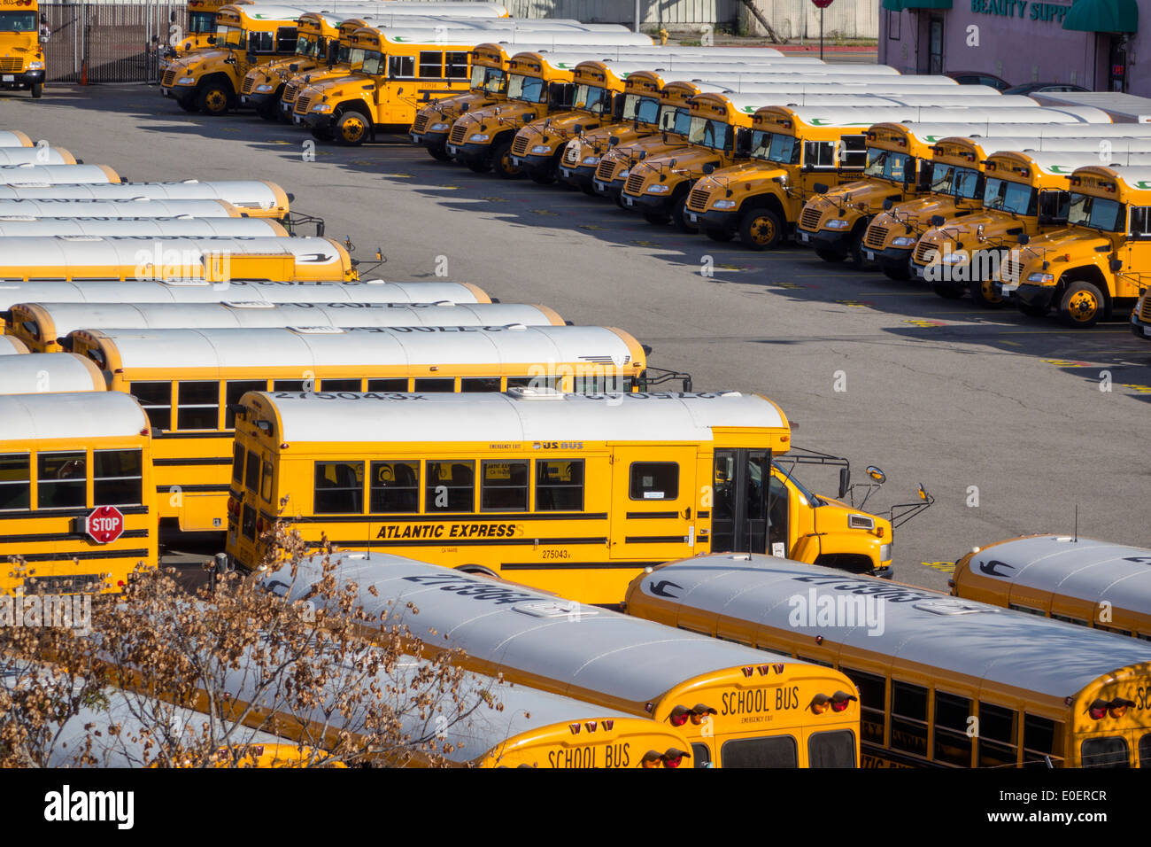 Los Angeles California, Los Angeles Unified School District, servizi di trasporto, autobus scolastico, pullman, flotta, giallo, deposito autobus, garage, deposito, CA1 Foto Stock