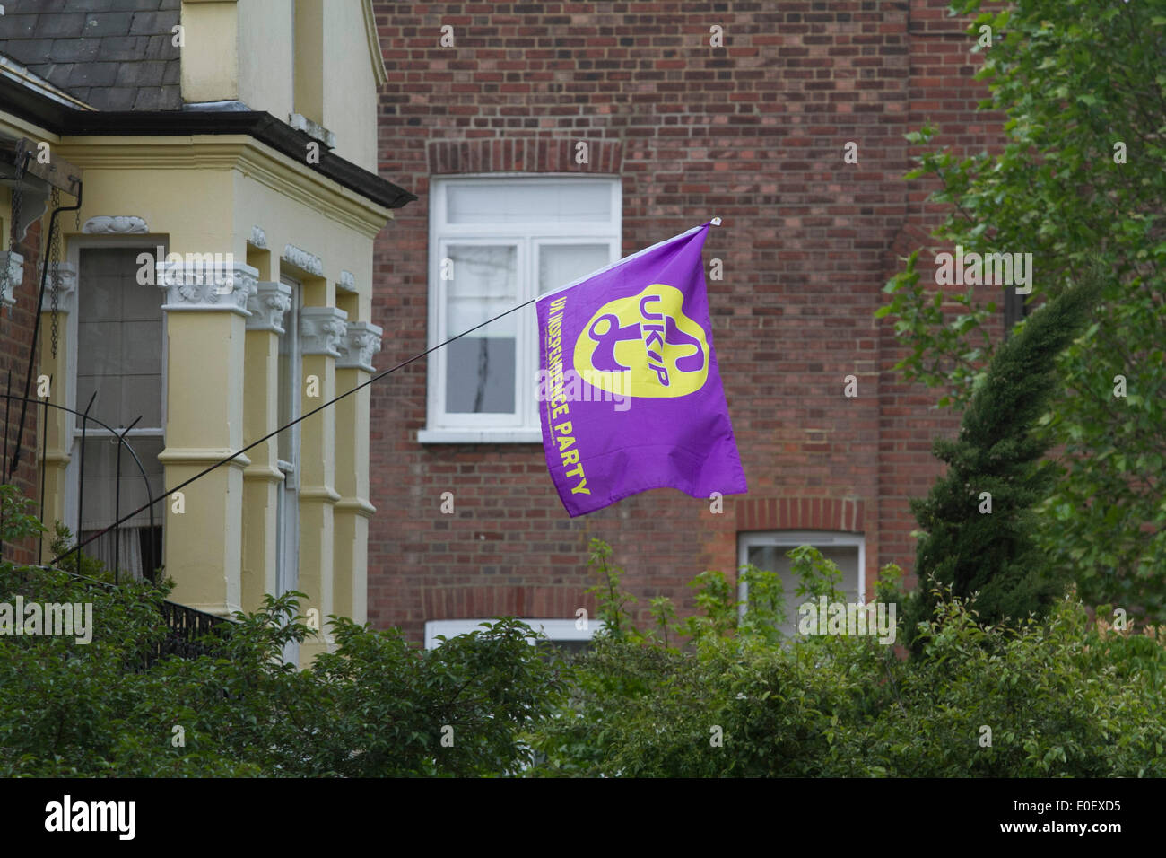 Londra REGNO UNITO. 11 maggio 2014. Una bandiera del (UKIP) Regno Unito Independence Party vola da una residenza a Londra per mostrare il loro sostegno prima delle elezioni europee il 22 maggio 2014 Foto Stock