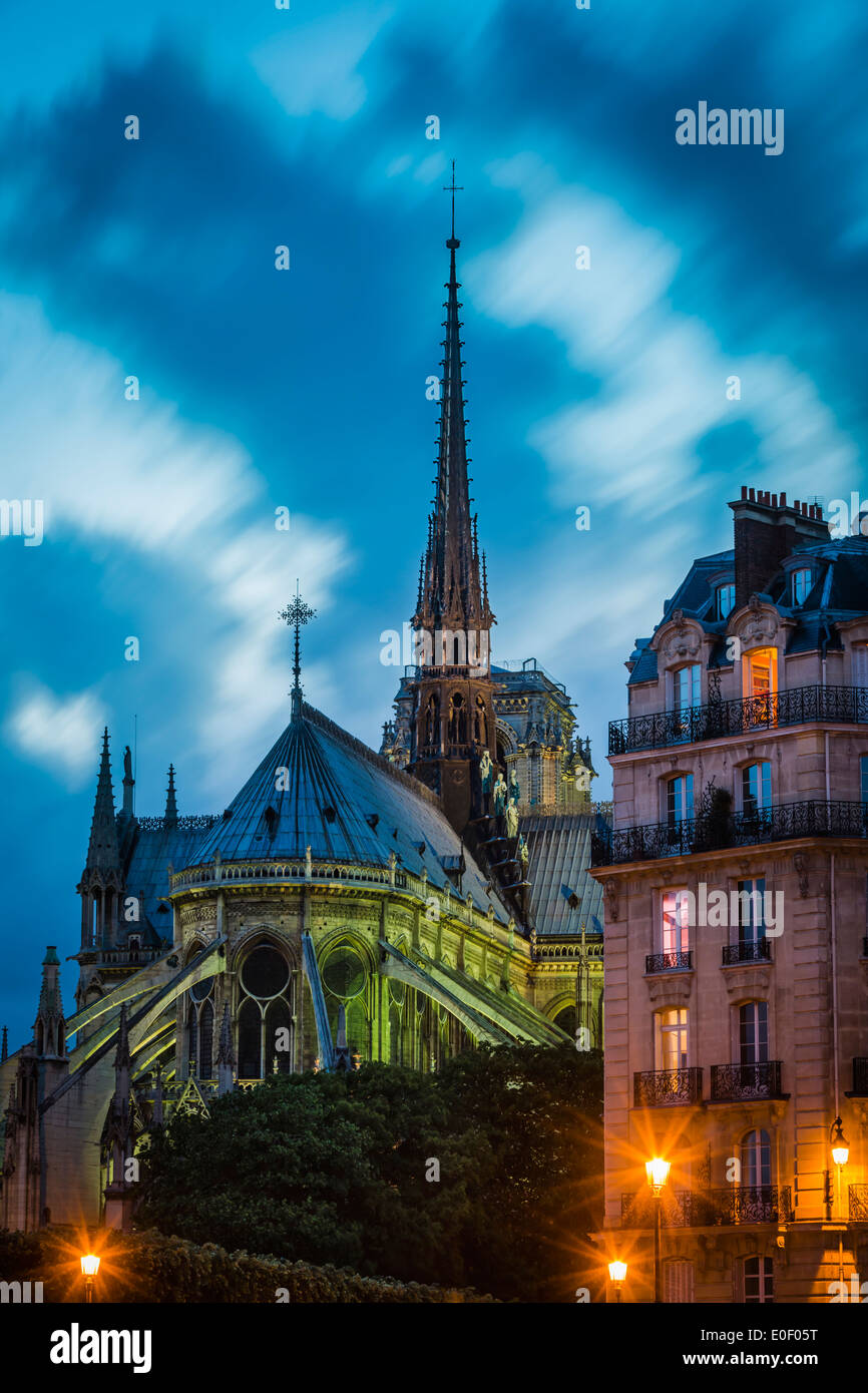 Twilight vista della cattedrale di Notre Dame e gli edifici di Ile-de-la-Cité, Parigi Francia Foto Stock