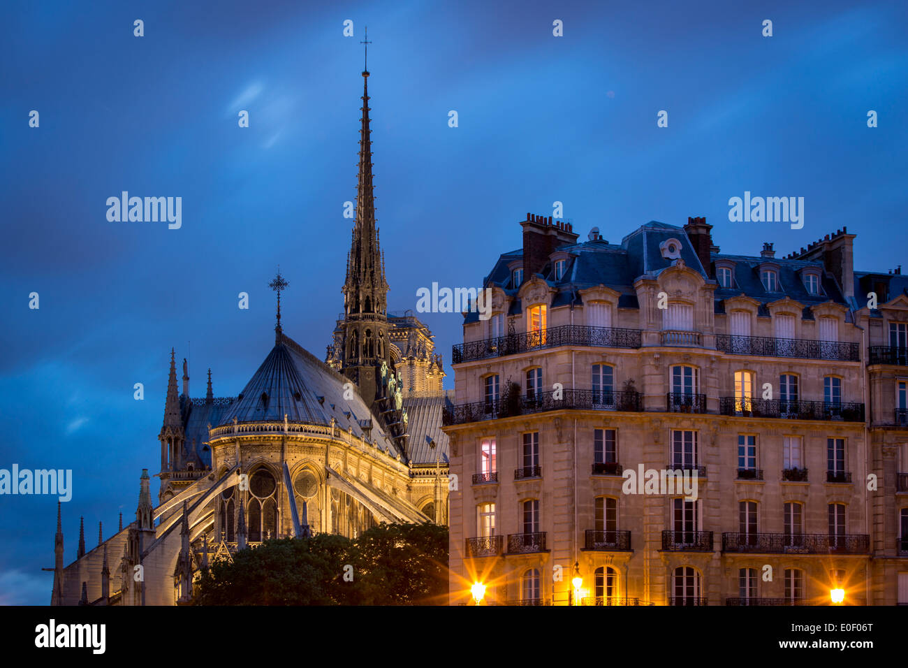 Twilight vista della cattedrale di Notre Dame e gli edifici di Ile-de-la-Cité, Parigi Francia Foto Stock