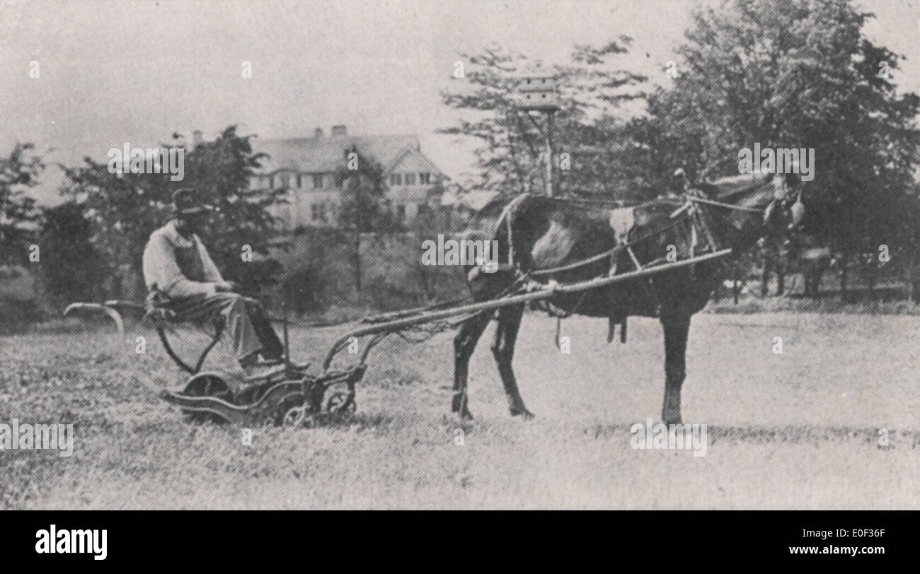 Questa fotografia cattura Charlie Holt con un rasaerba trainato da cavalli a Miller Park, intorno al 1918. Mette in evidenza le pratiche agricole dei primi anni del XX secolo e l'uso di attrezzature trainate da cavalli nella manutenzione del parco. Foto Stock