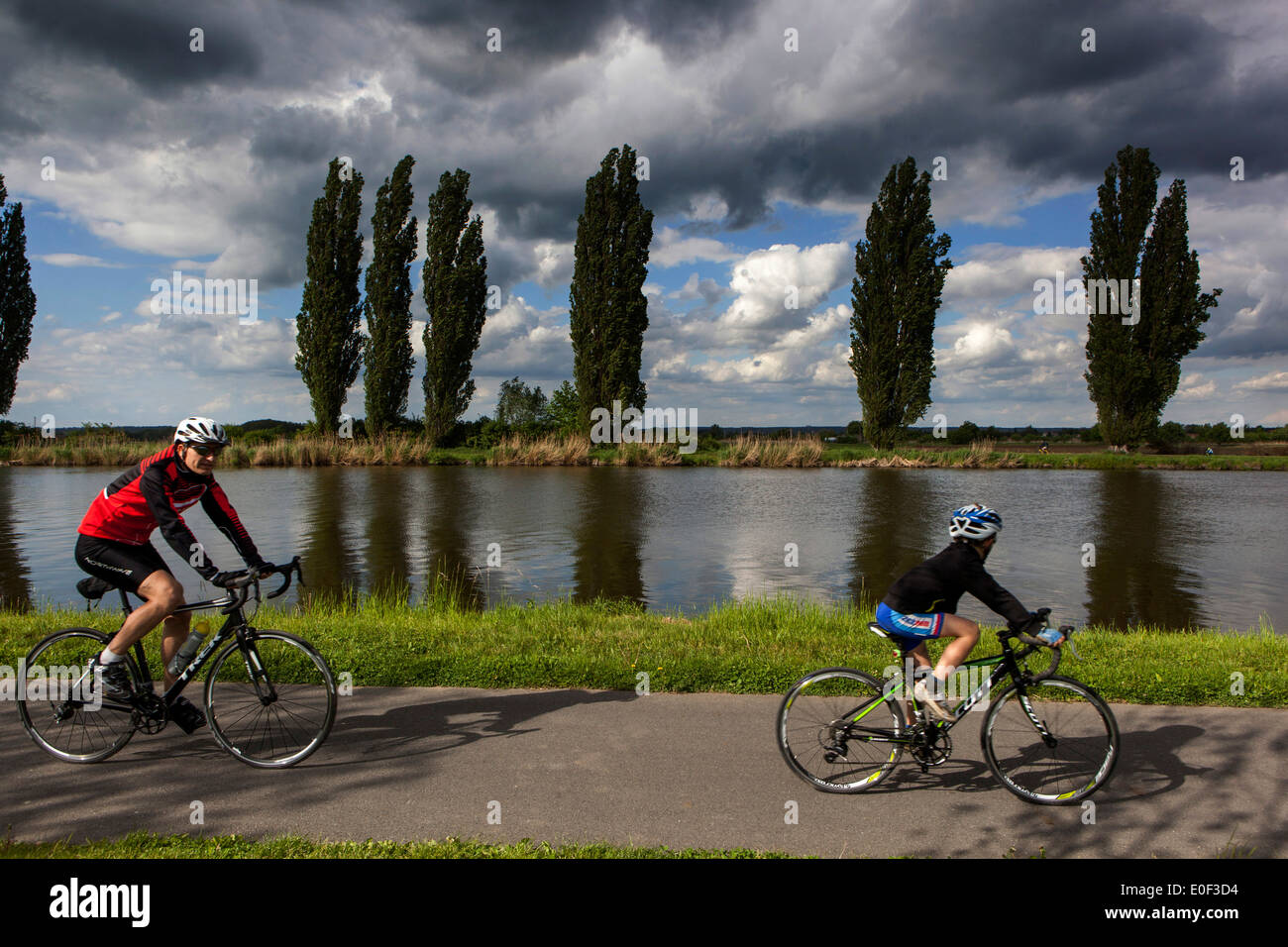People ride bike Elbe River Trail Repubblica Ceca pista ciclabile Foto Stock
