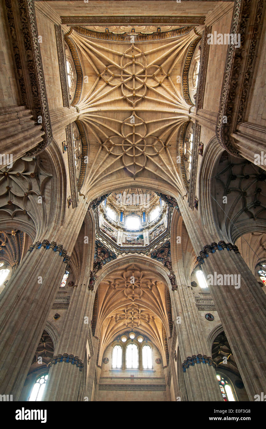 Costoloni e pilastri della nuova cattedrale, Salamanca, nella regione di Castilla y Leon, Spagna, Europa Foto Stock