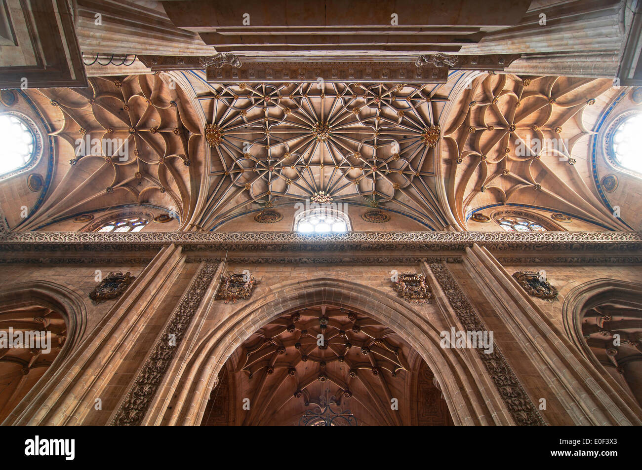 La nuova cattedrale - interno, XVI secolo, Salamanca, nella regione di Castilla y Leon, Spagna, Europa Foto Stock