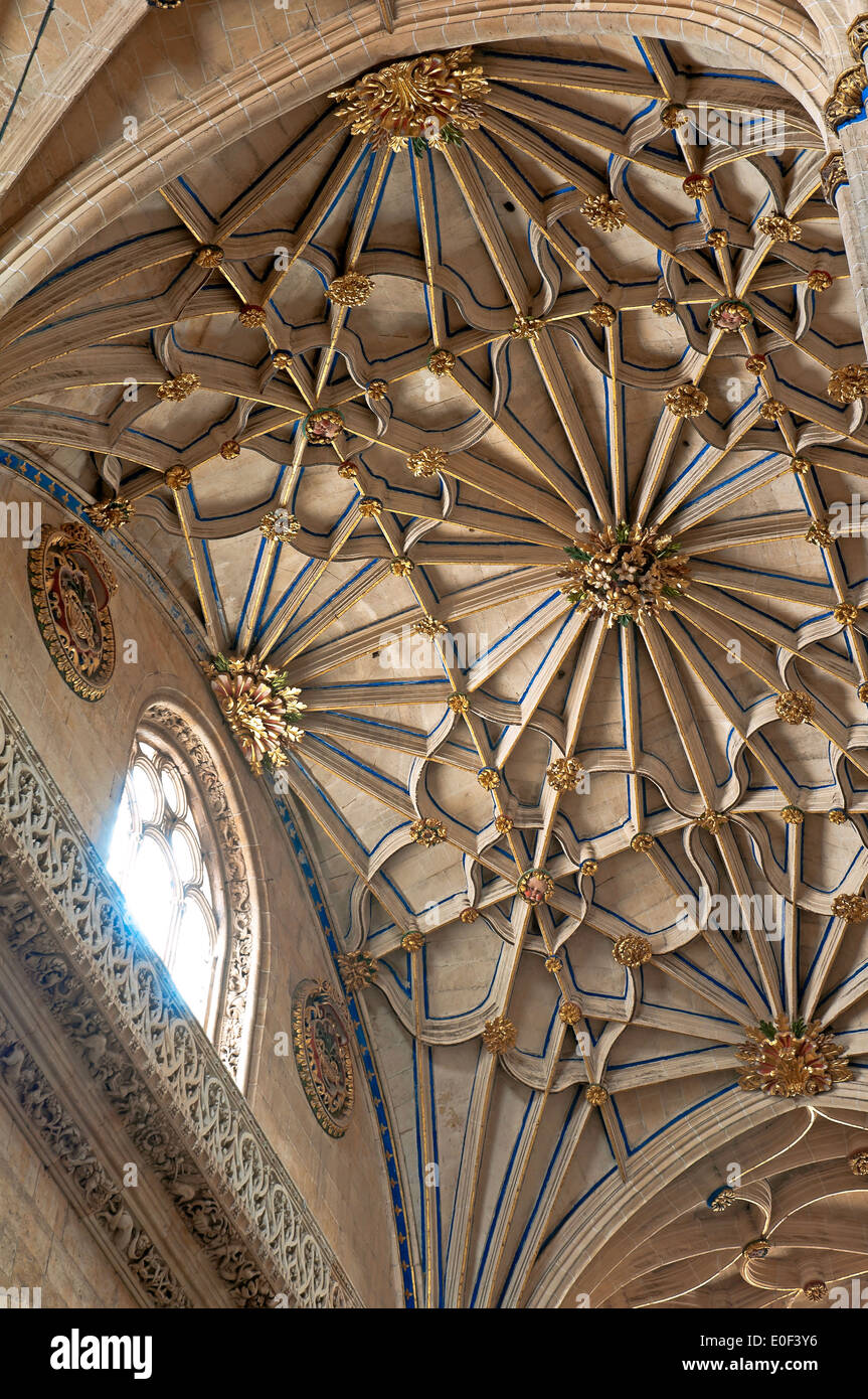 La nuova cattedrale - interno, XVI secolo, Salamanca, nella regione di Castilla y Leon, Spagna, Europa Foto Stock