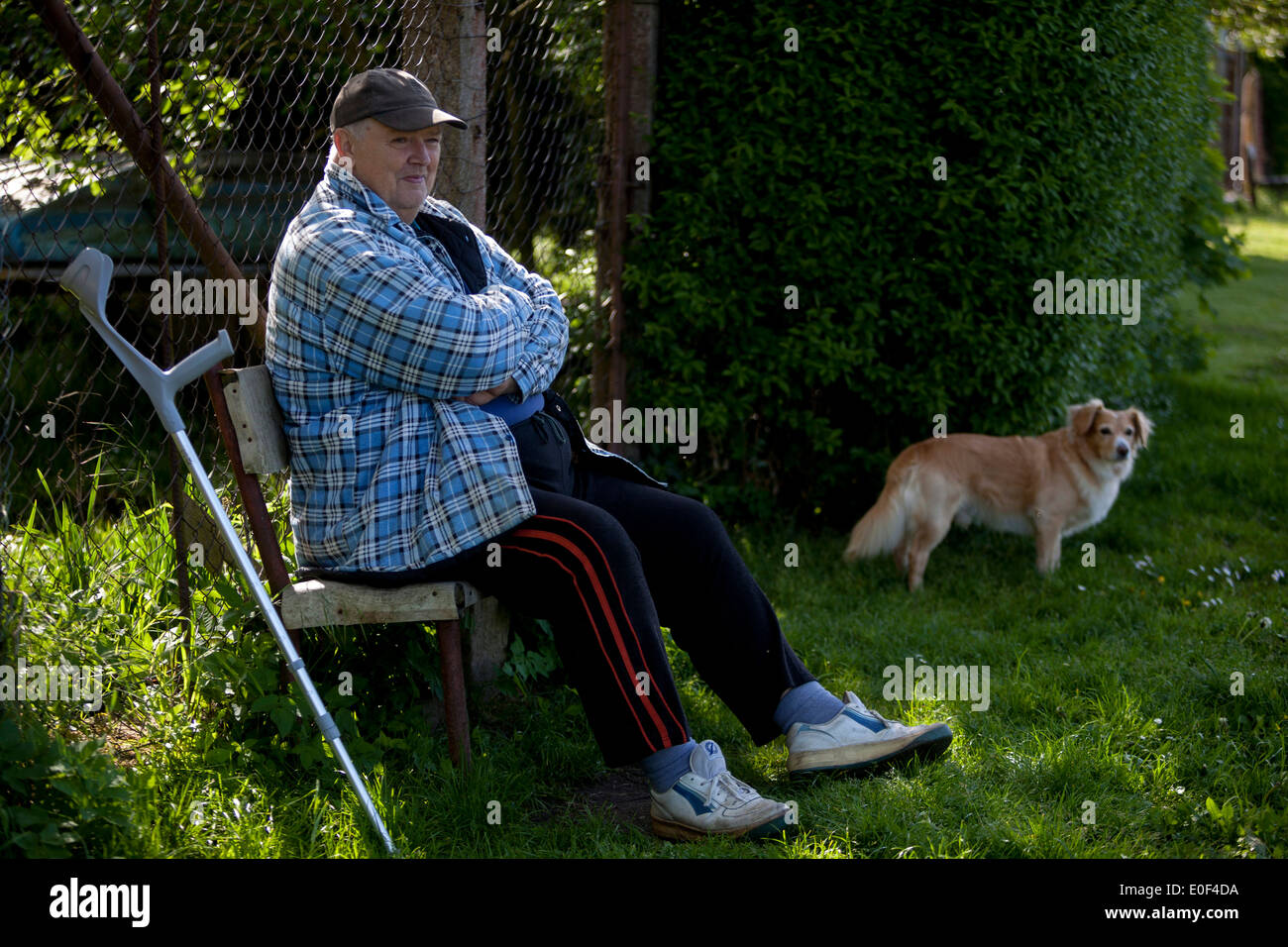 Senior uomo su un banco di lavoro con un cane Repubblica Ceca Foto Stock