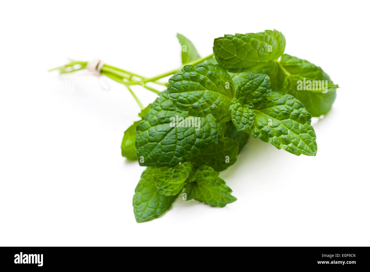 Mint isolati su sfondo bianco. Foto Stock