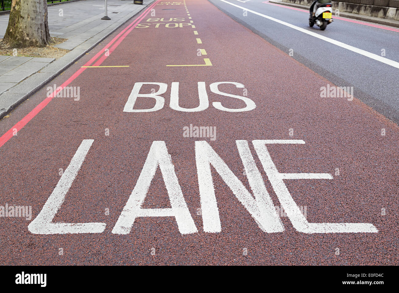 Corsia degli autobus, Londra, Regno Unito. Foto Stock