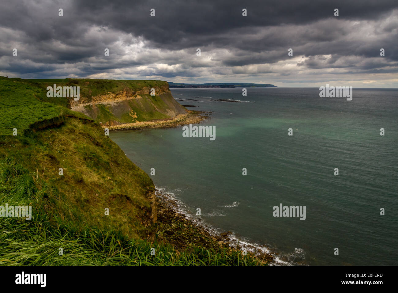 Filey per Cayton Bay cliff edge costa, Yorkshire, Regno Unito Foto Stock