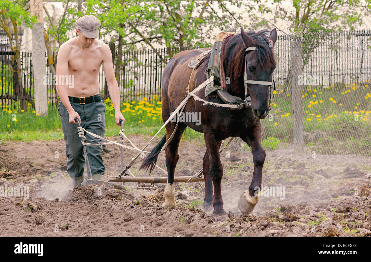 L'uomo l'aratura con giardino cavallo aratro Foto Stock