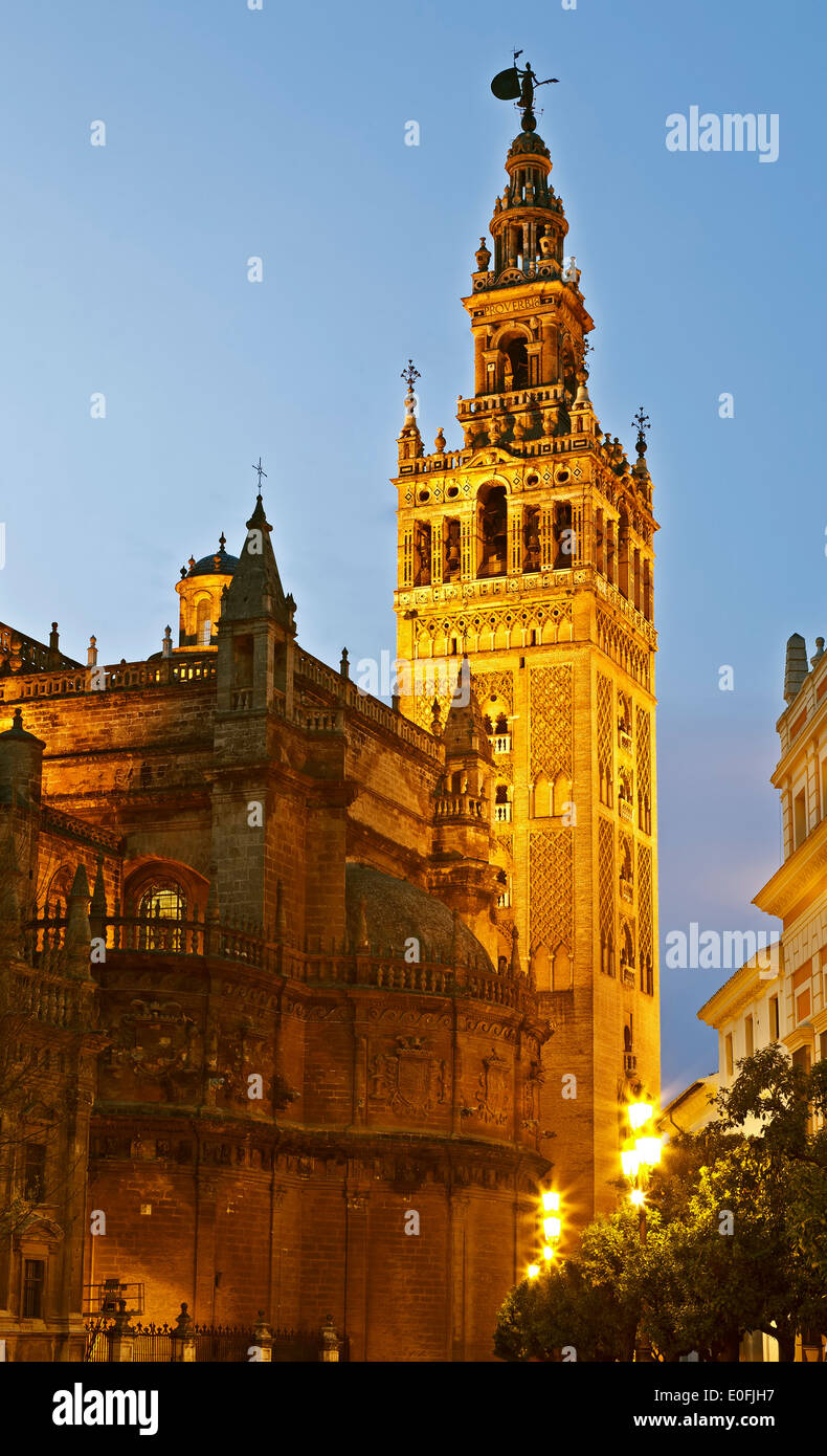 La torre Giralda al crepuscolo, Siviglia, Spagna Foto Stock