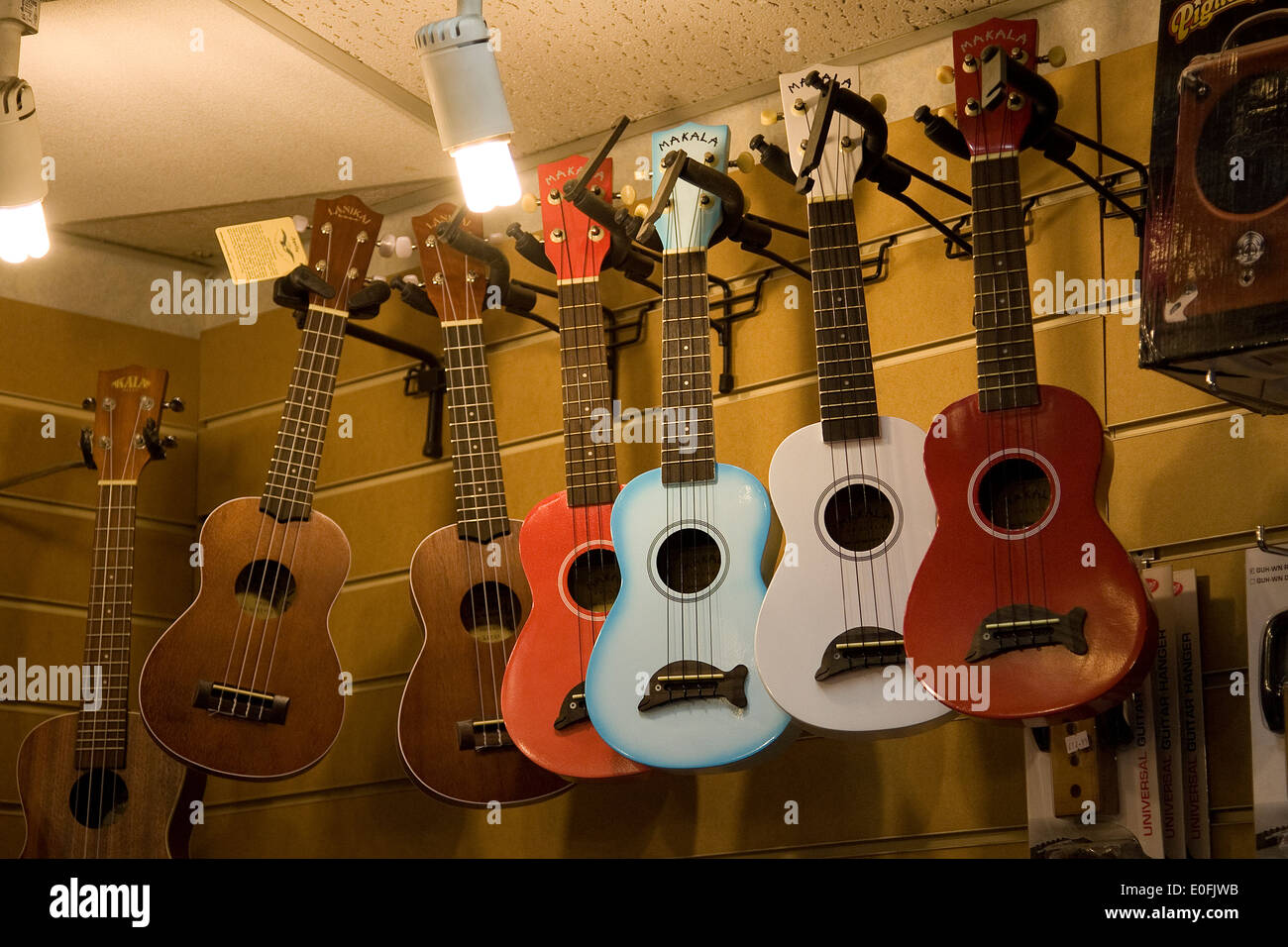 Chitarre acustiche in vendita negozio di chitarra Danimarca Foto Stock