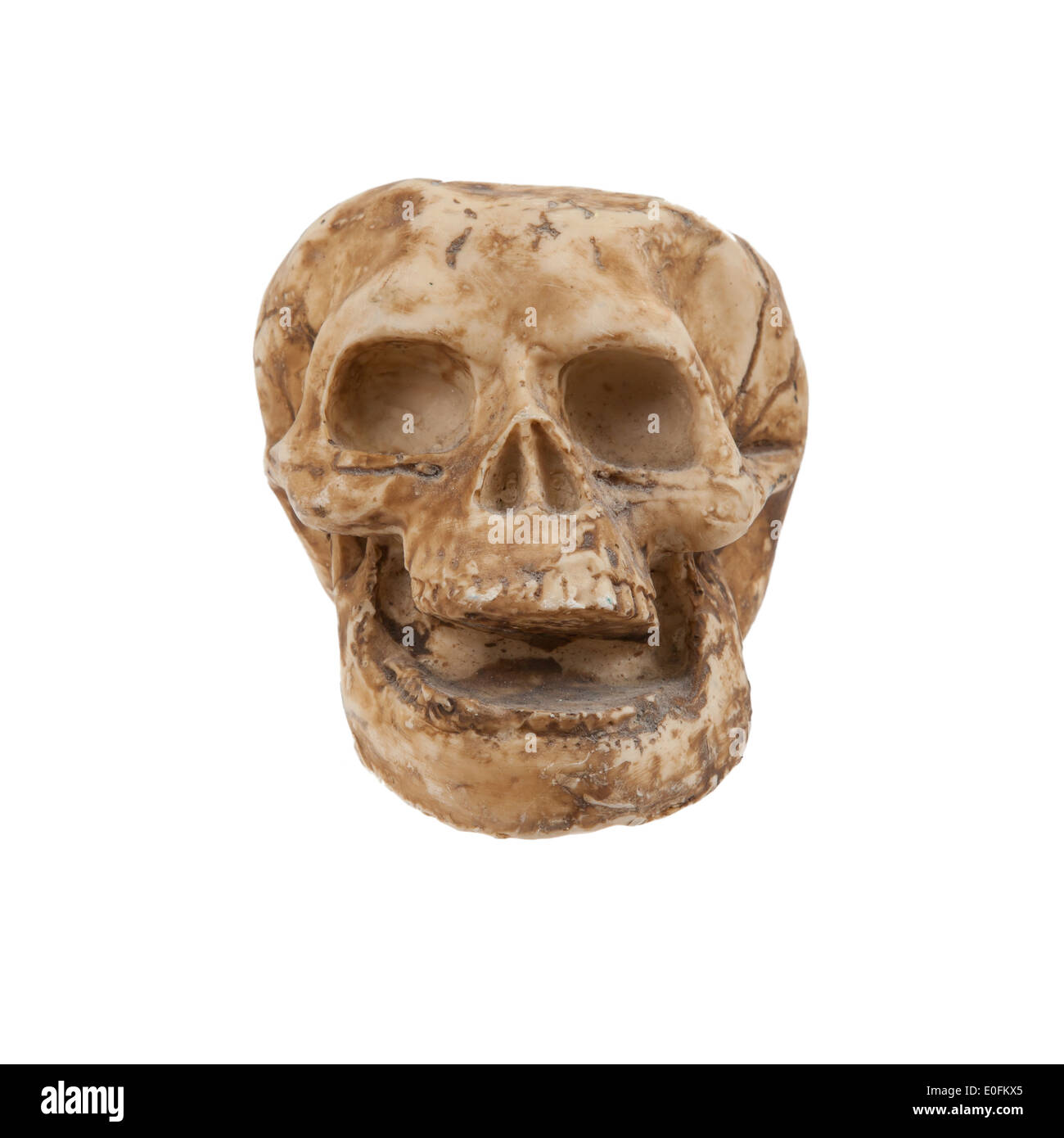 Unico vecchio cranio isolato su sfondo bianco Foto Stock