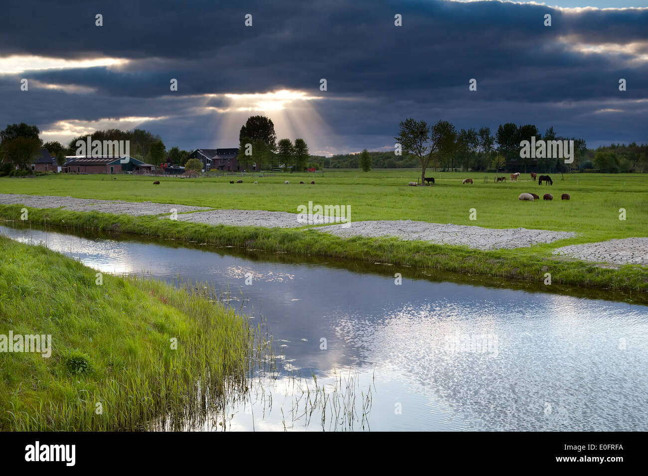 Raggi di sole attraverso la tempesta cielo sopra il terreno coltivabile, Paesi Bassi Foto Stock