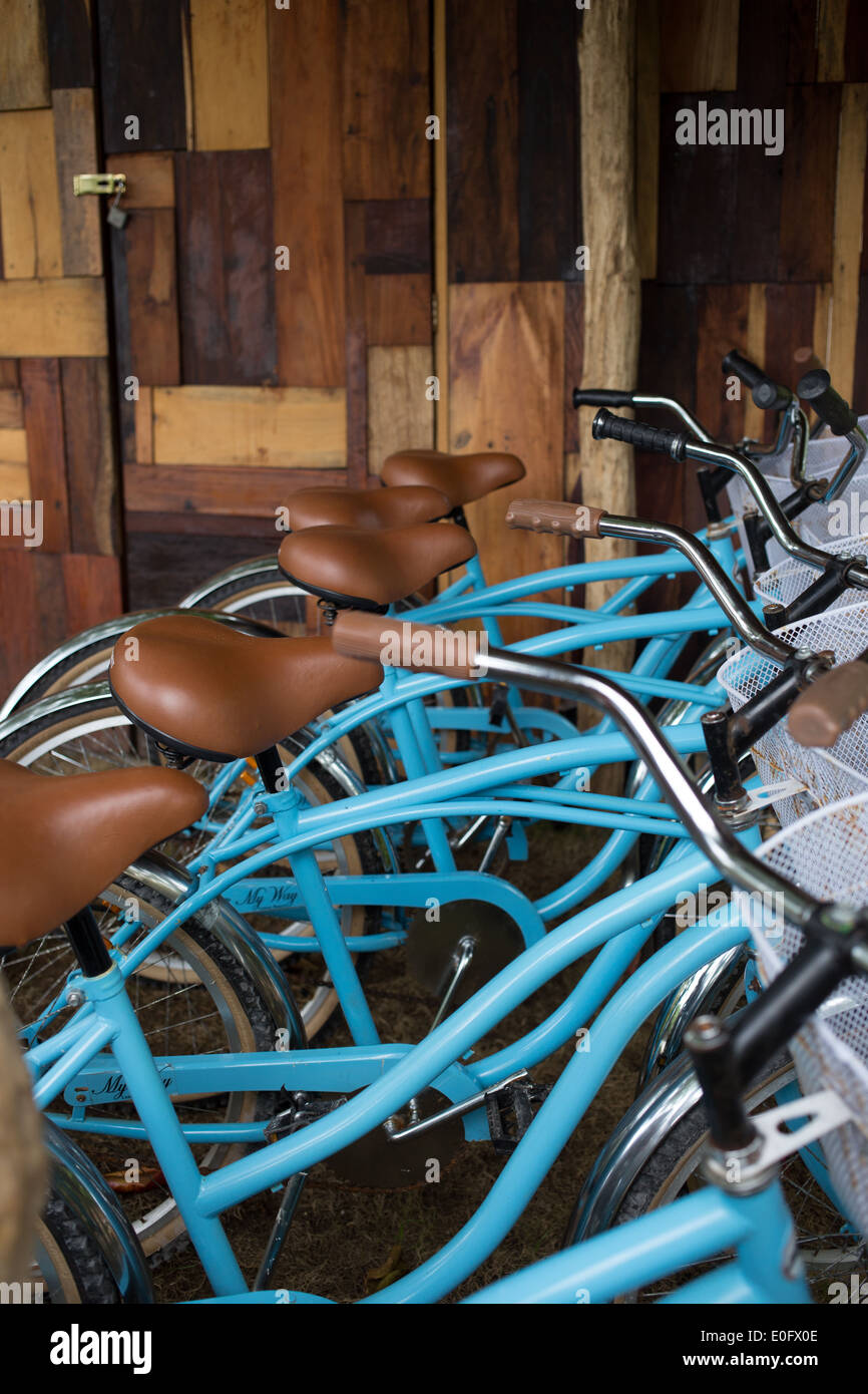 Fila di blu e marrone bici contro la parete di legno a Tulum, Messico. Foto Stock