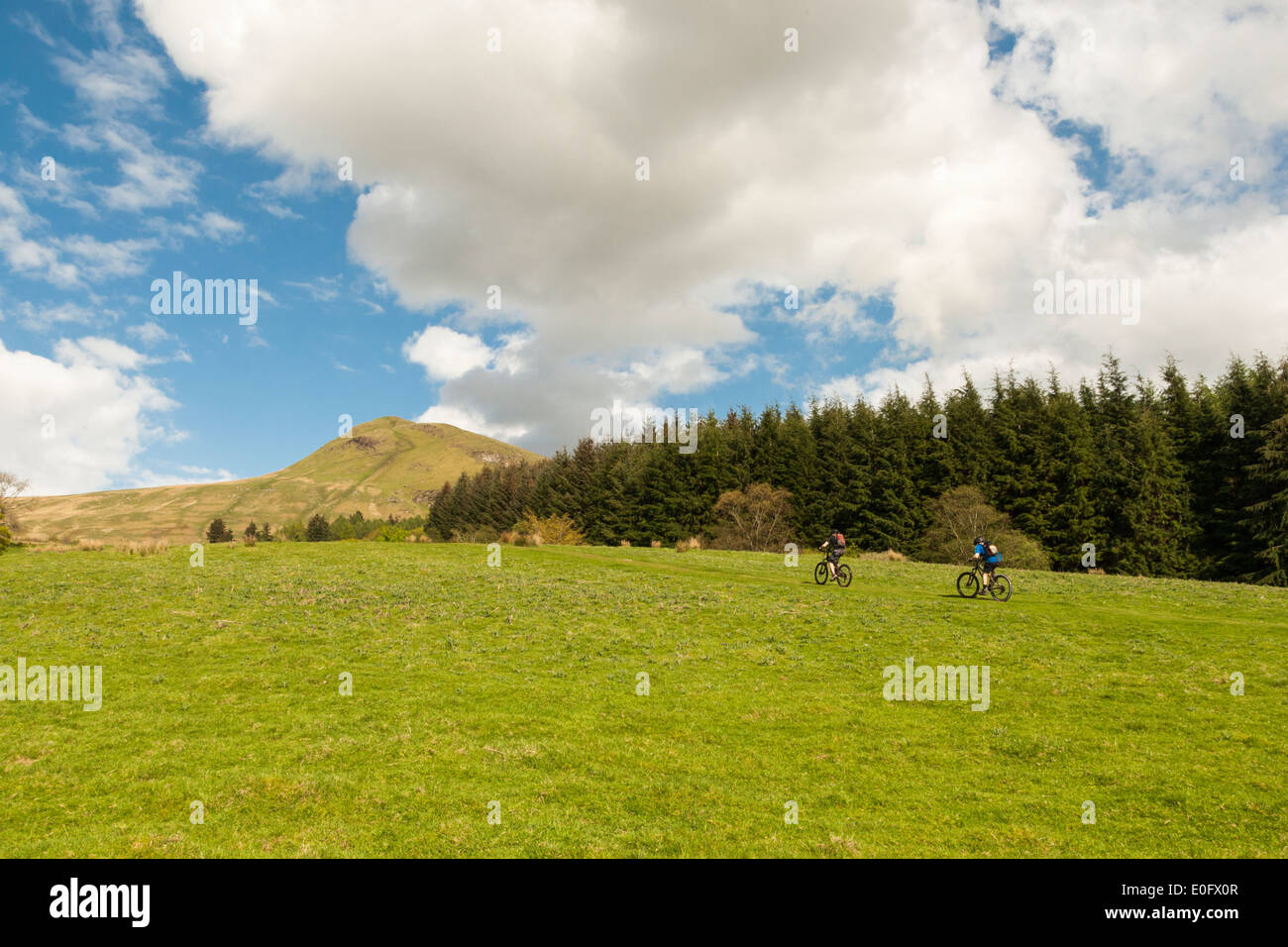 Due uomini in bicicletta fino alla cima di una collina verso una maggiore gamma di montagna, Dumgoyne, Strathblane, Scotland, Regno Unito Foto Stock