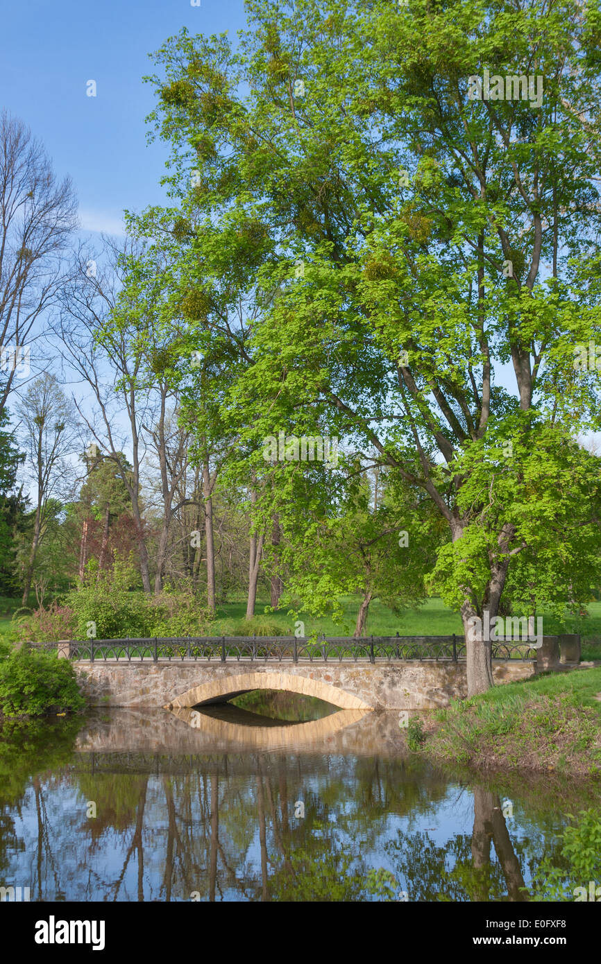 La molla vecchia parco con un laghetto e il ponte di pietra Foto Stock